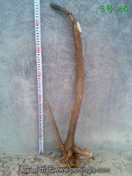 20140415_175059.jpg