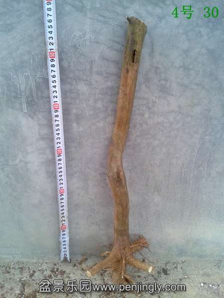 20140415_175044.jpg