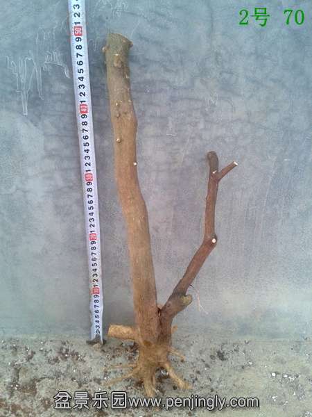 20140415_174945.jpg