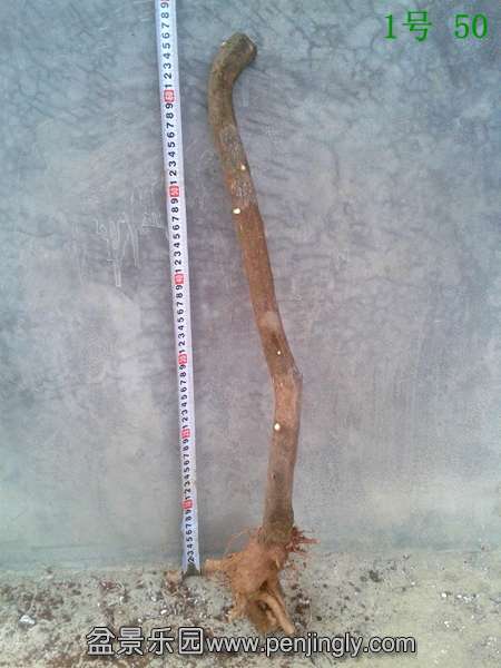 20140415_174815.jpg