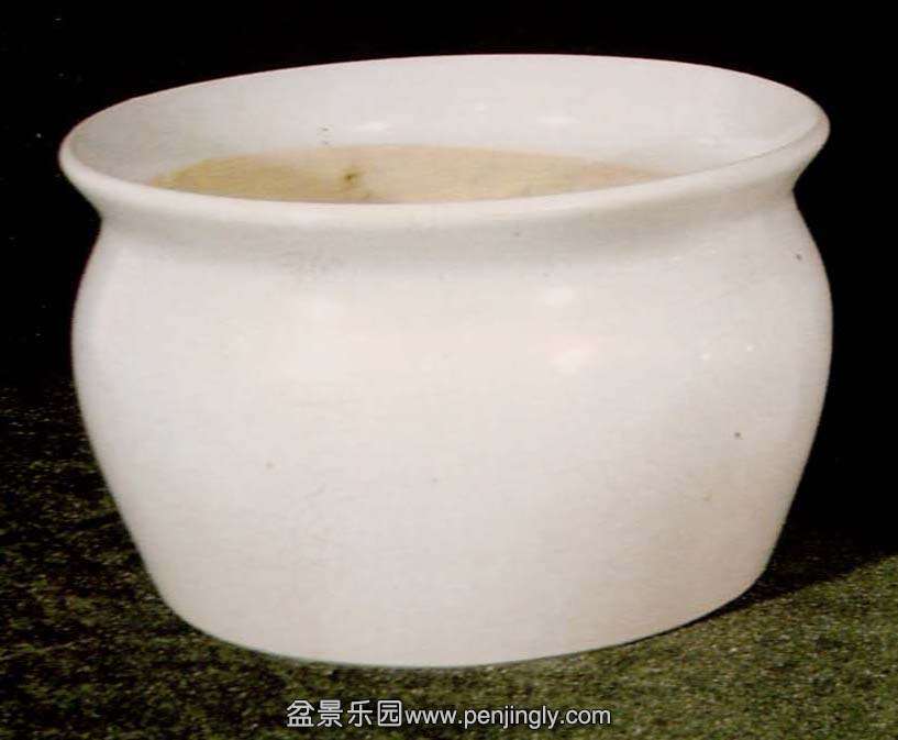 ڰԲ.jpg