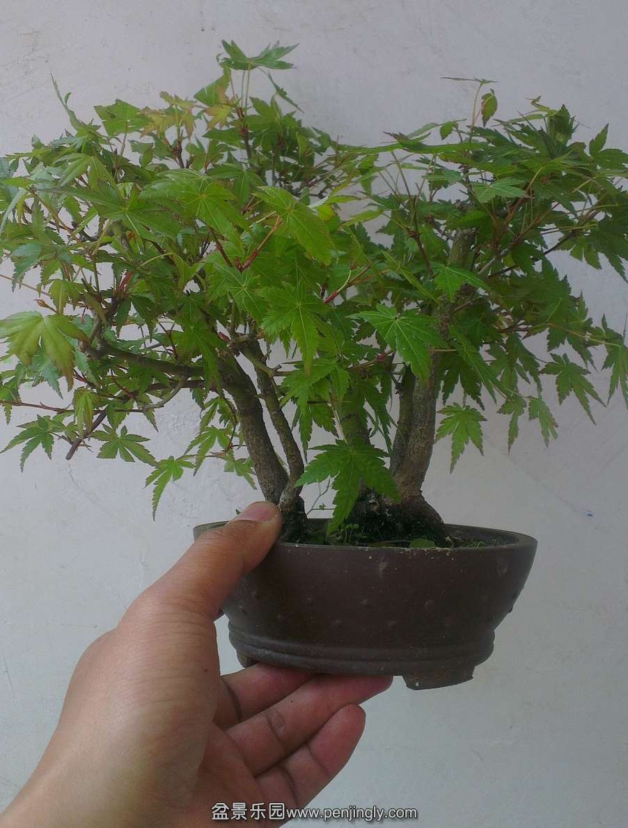 IMAG0288_2345ͼ.jpg