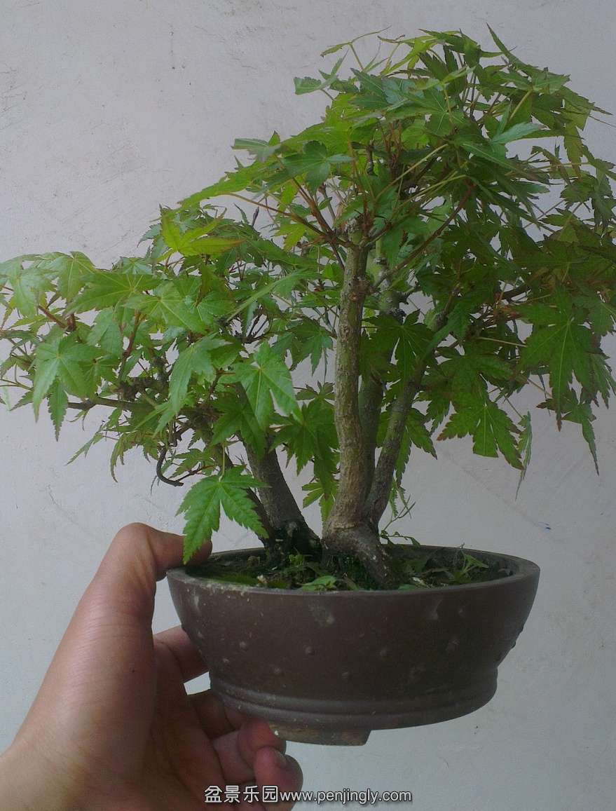 IMAG0289_2345ͼ.jpg