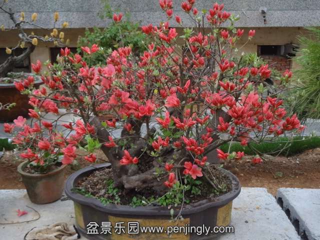 DSC00888.JPG