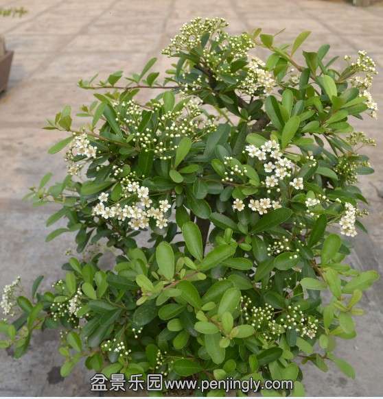 QQͼƬ20140416220133.jpg