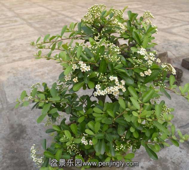 QQͼƬ20140416220157.jpg