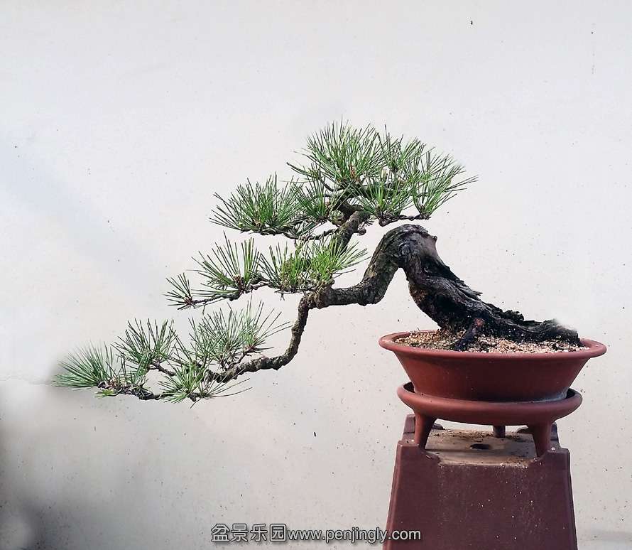 20140418_073215 ����.jpg