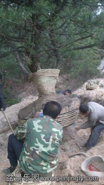 С������������