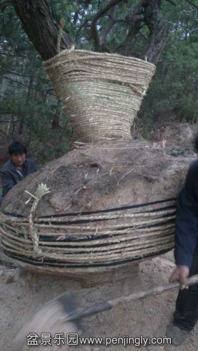 3�ֶ��ص�����