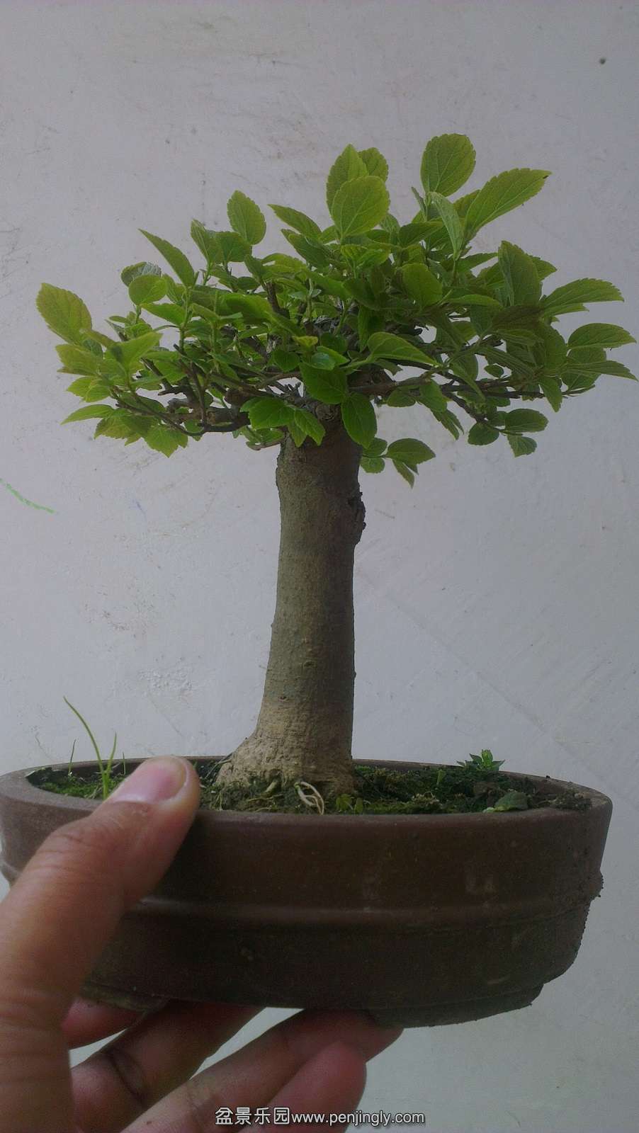 IMAG0283.jpg