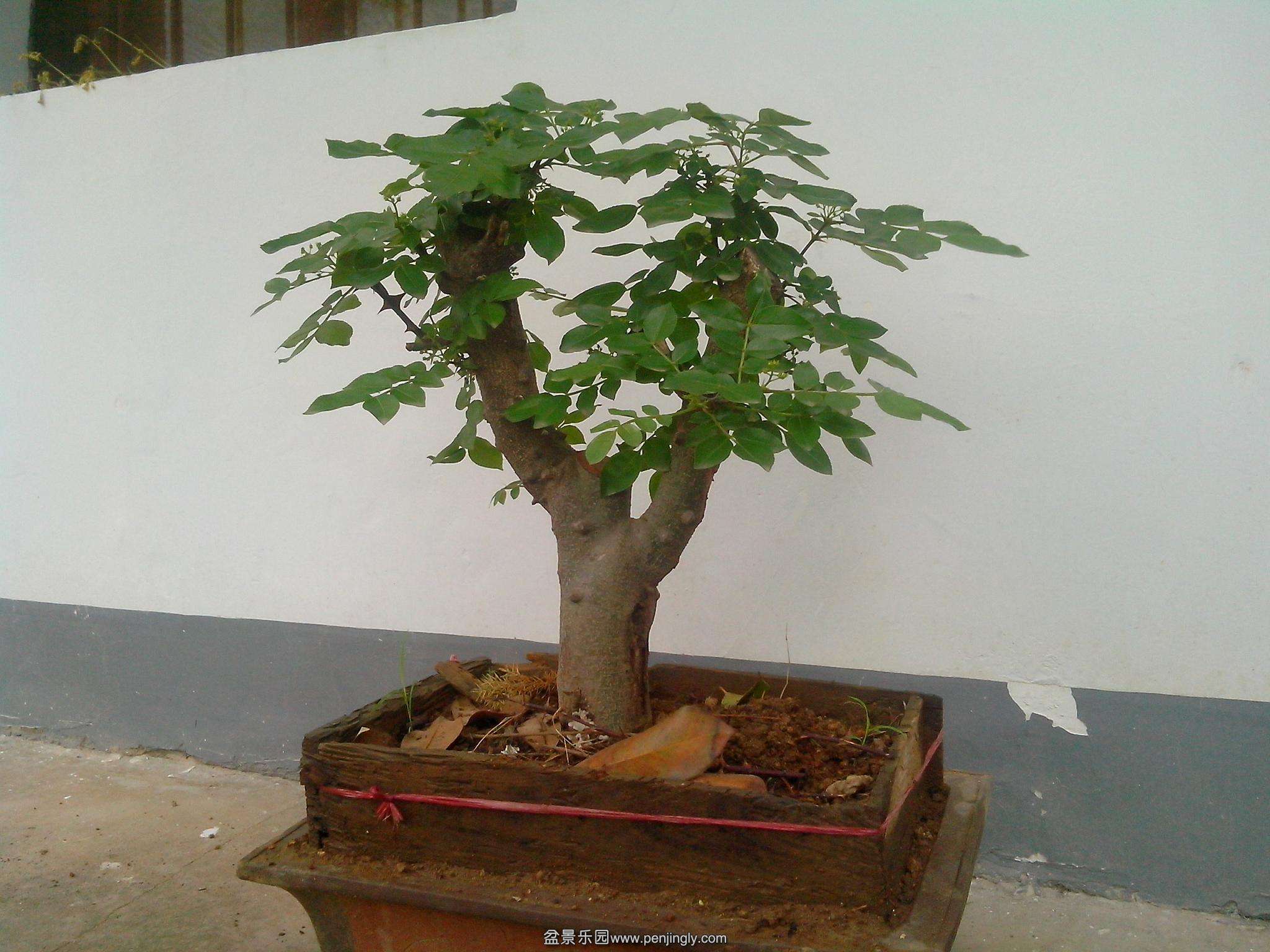 IMG20140419004.jpg