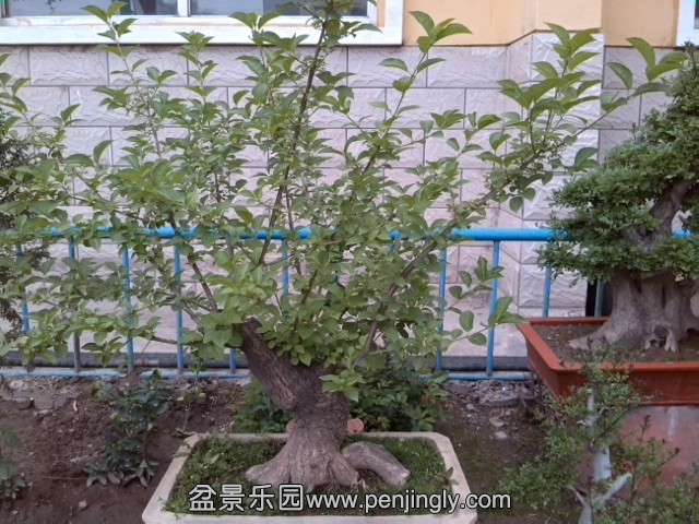 IMG_20140419_155003.jpg