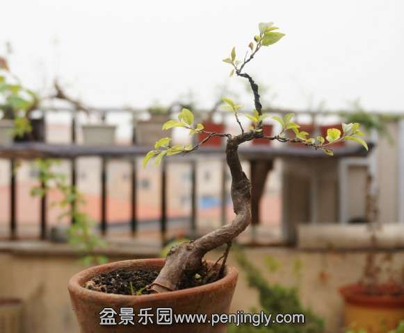 QQͼƬ20140420201835.jpg