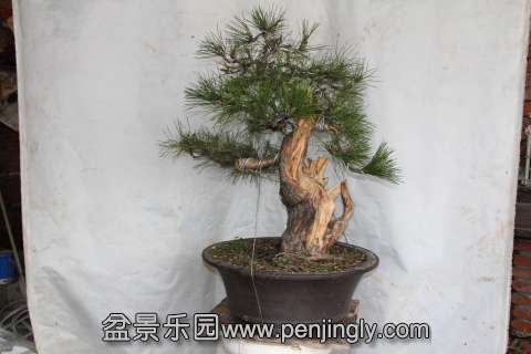 IMG_4070.jpg