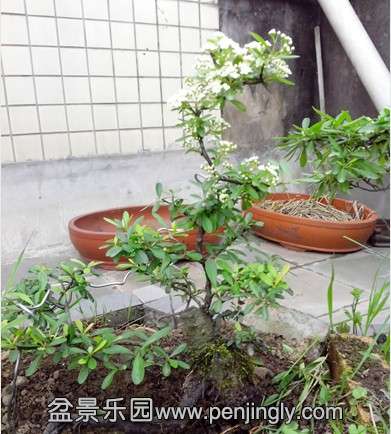 QQͼƬ20140420212518.jpg