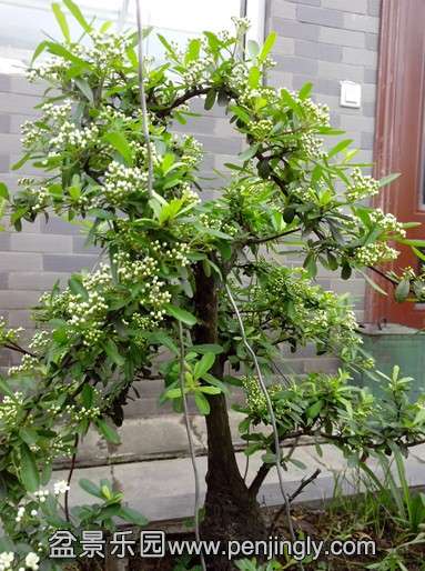 QQͼƬ20140420212555.jpg
