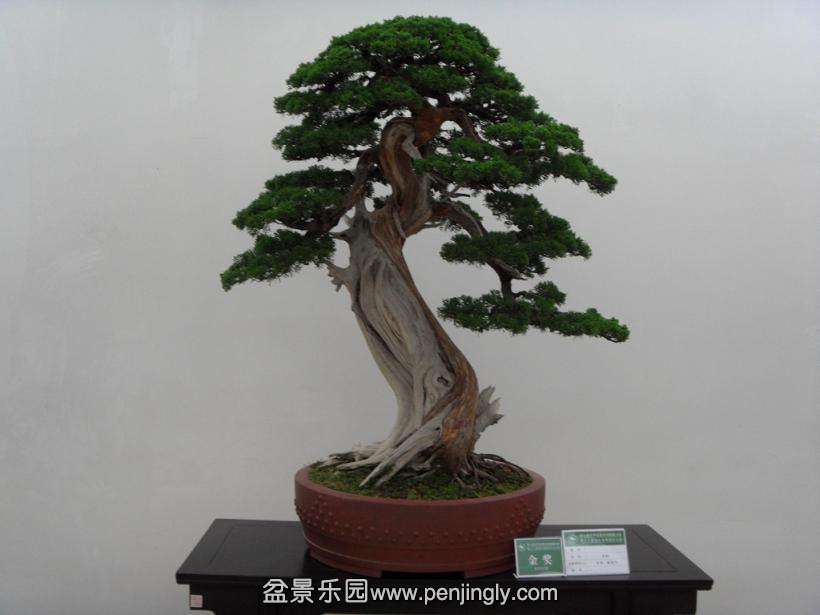 SDC13021.JPG