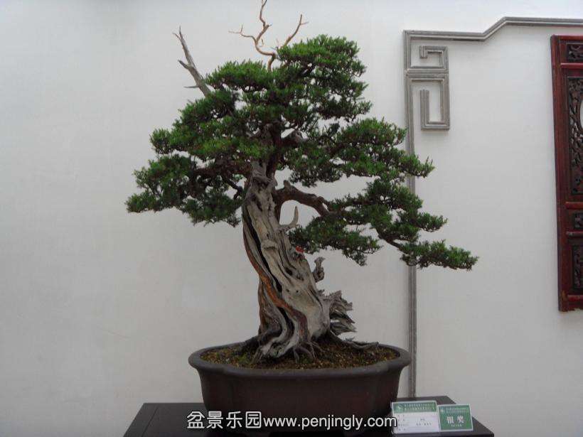 SDC13023.JPG