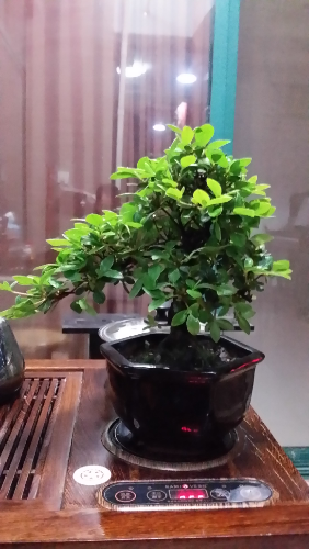 20140415_205122.jpg