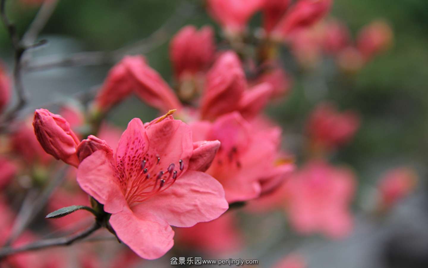 IMG_1125_.jpg