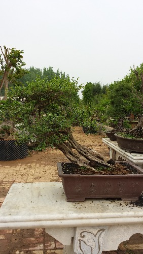 20140410_122334.jpg