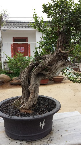 20140410_122651.jpg