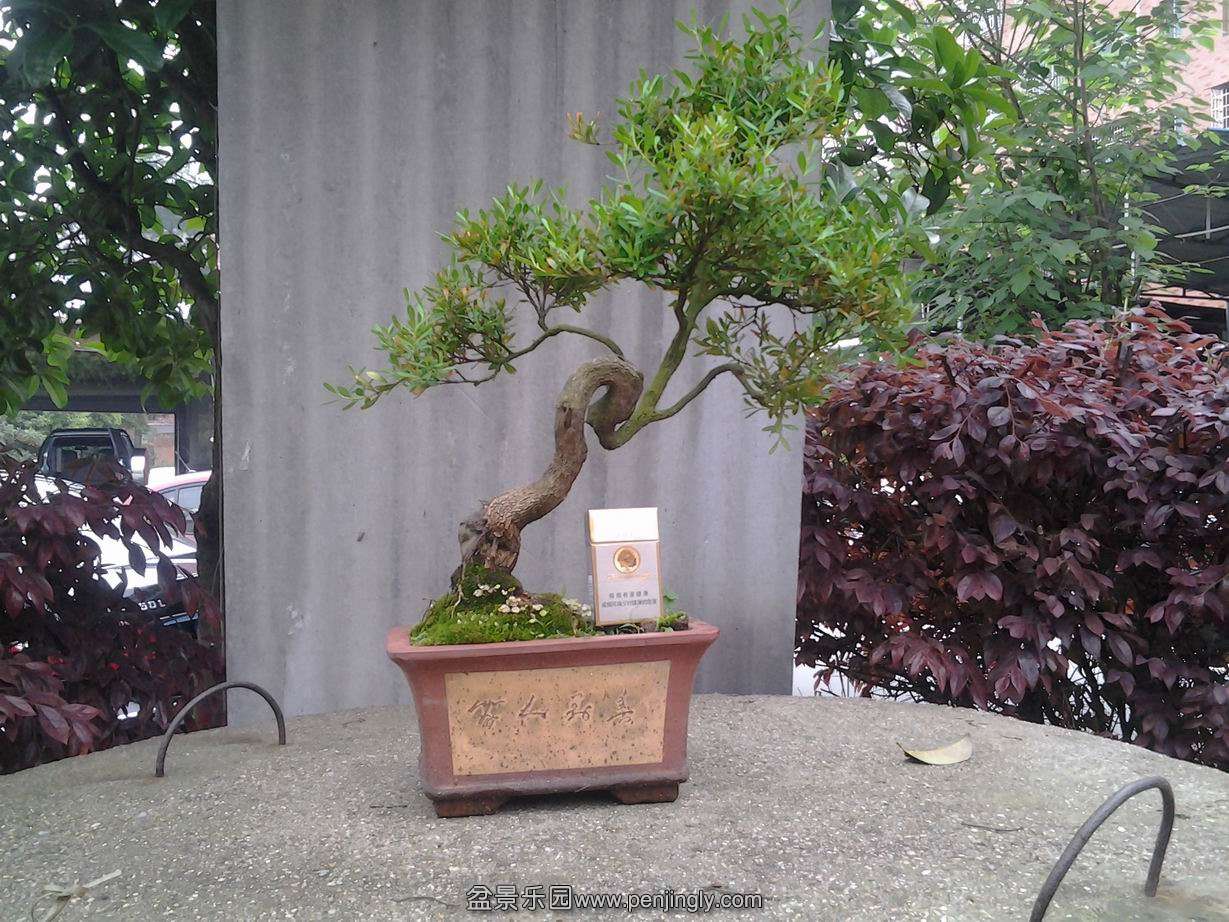 20140424_113723.jpg