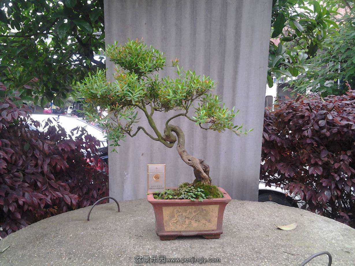20140424_113756.jpg