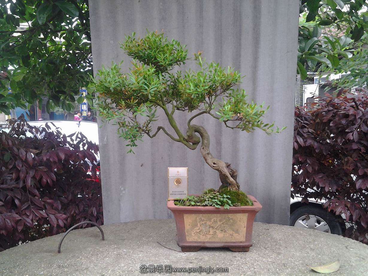20140424_113809.jpg