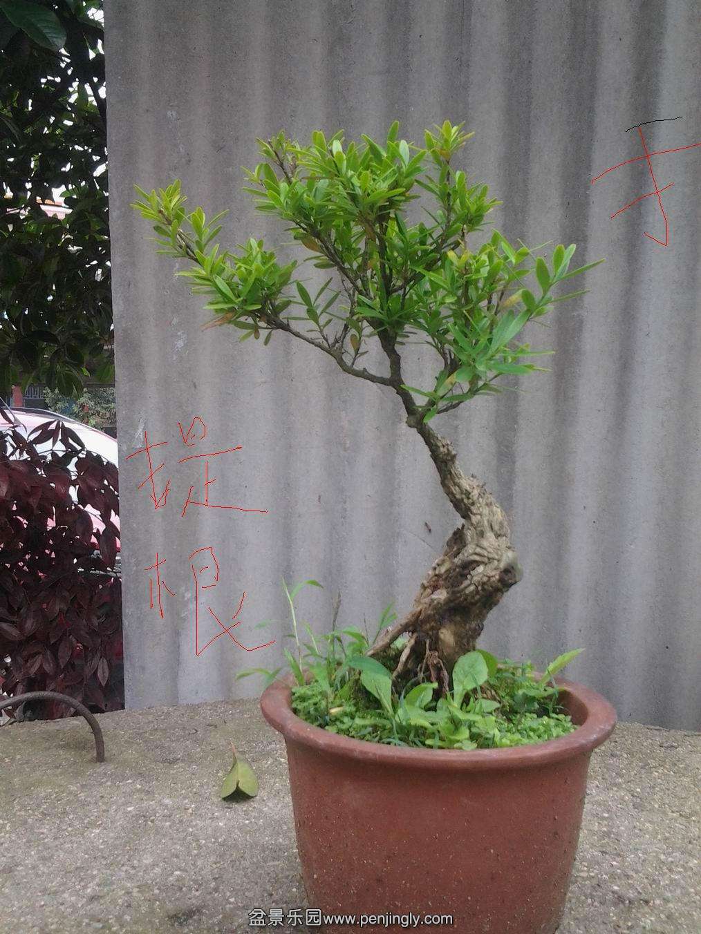 20140425_143213.jpg