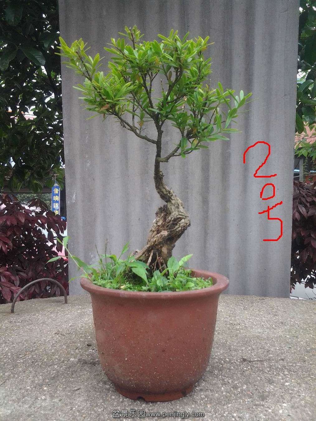 20140425_143247.jpg