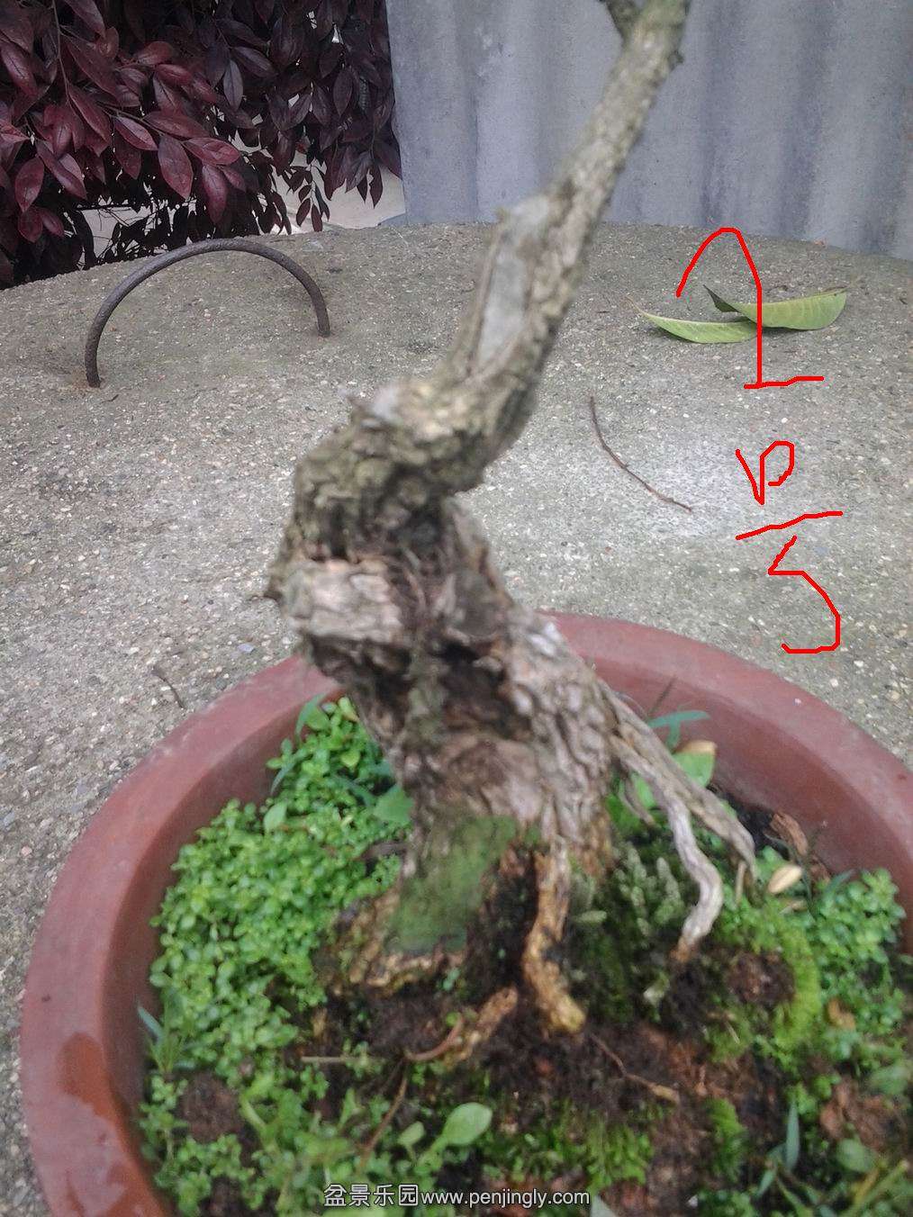 20140425_143324.jpg