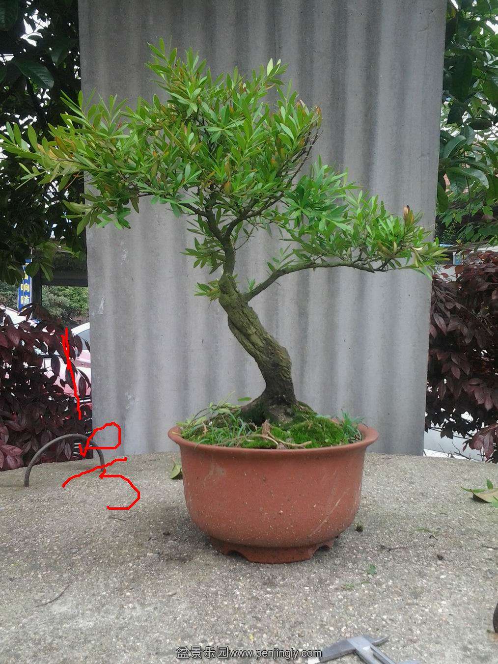 20140425_143437.jpg