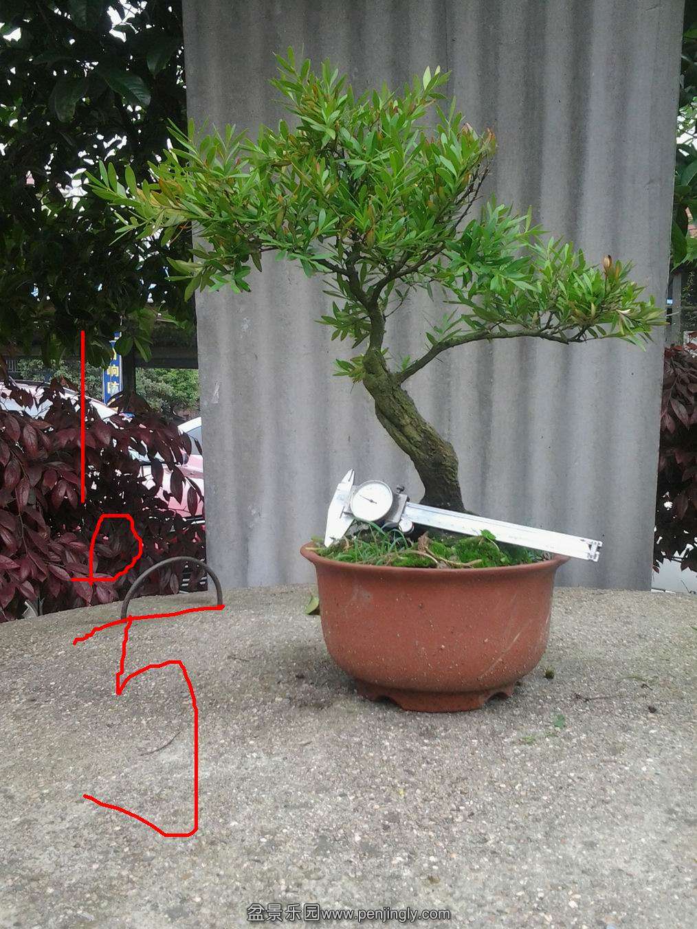 20140425_143449.jpg