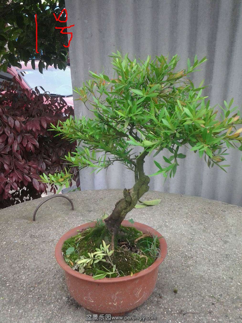 20140425_143519.jpg