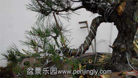 IMG_20140426_090350.jpg