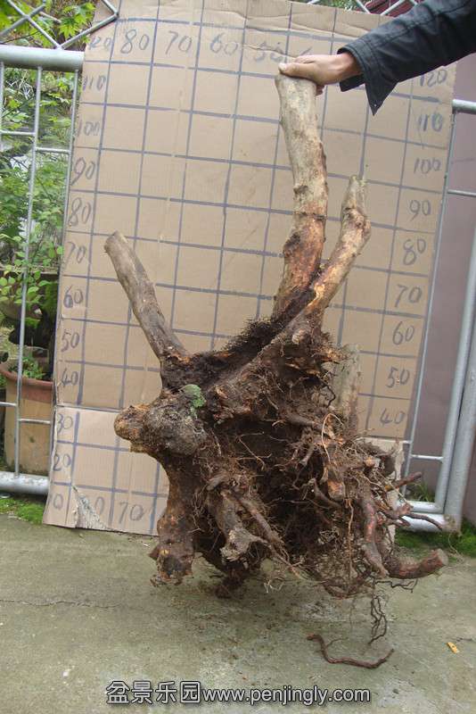 DSC02328_.jpg