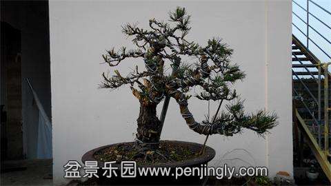 IMG_20140427_175826.jpg
