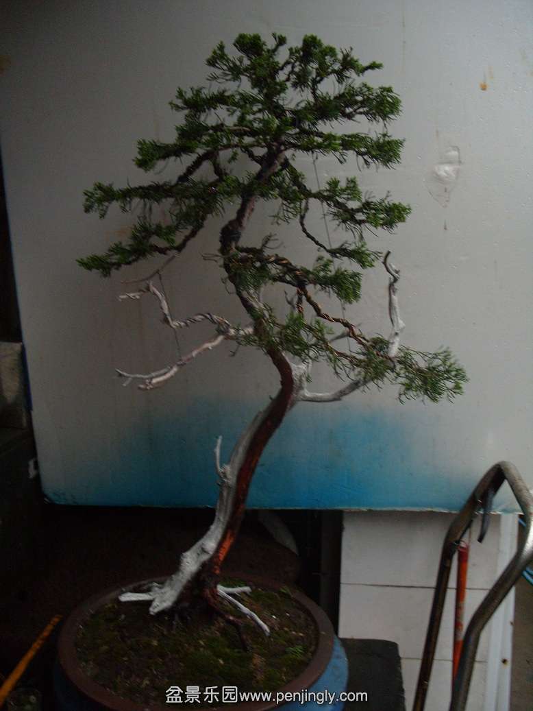 S1050318.JPG