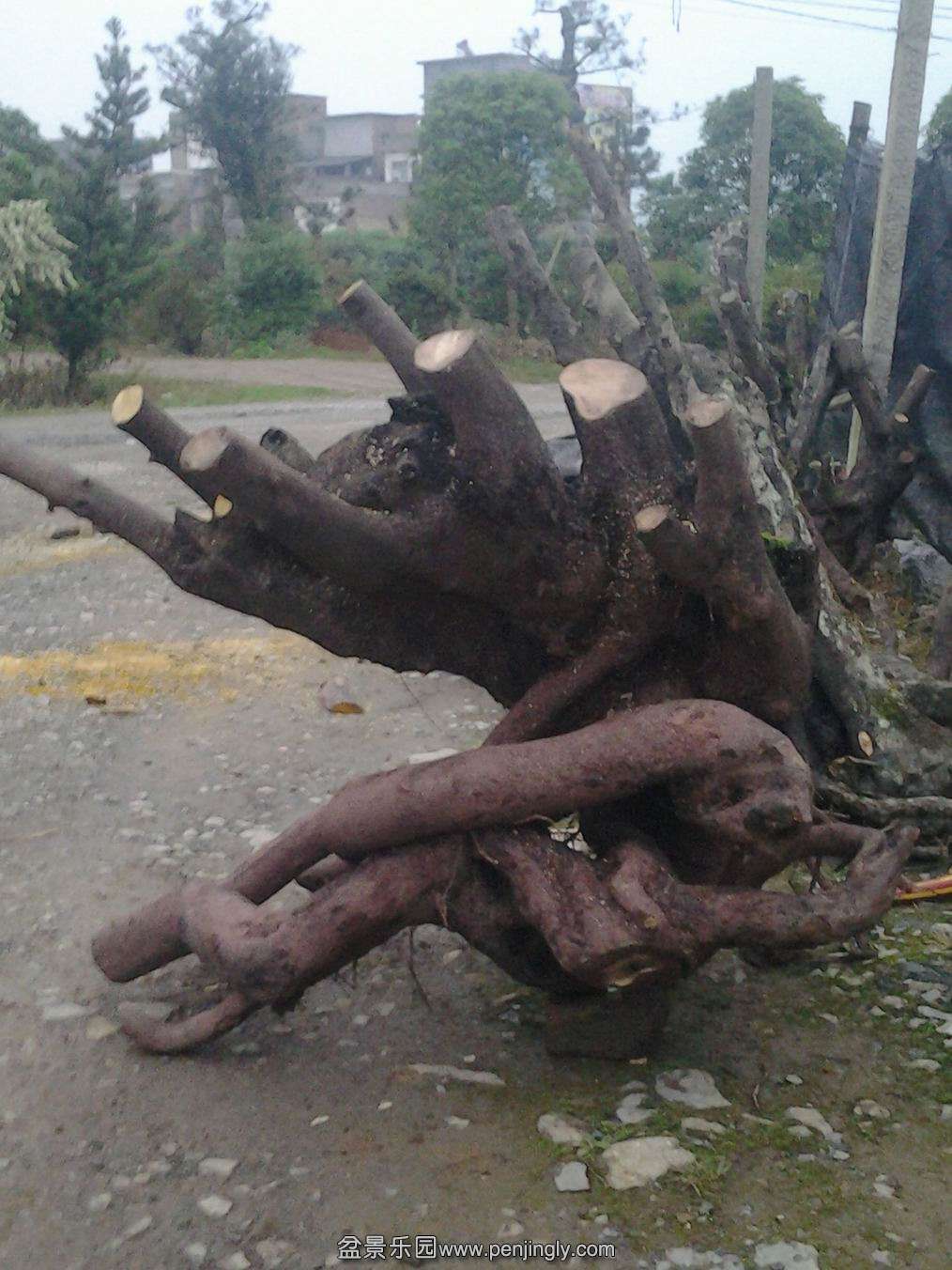 20140427_190830.jpg