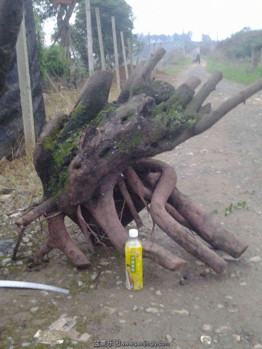 20140427_190924.jpg
