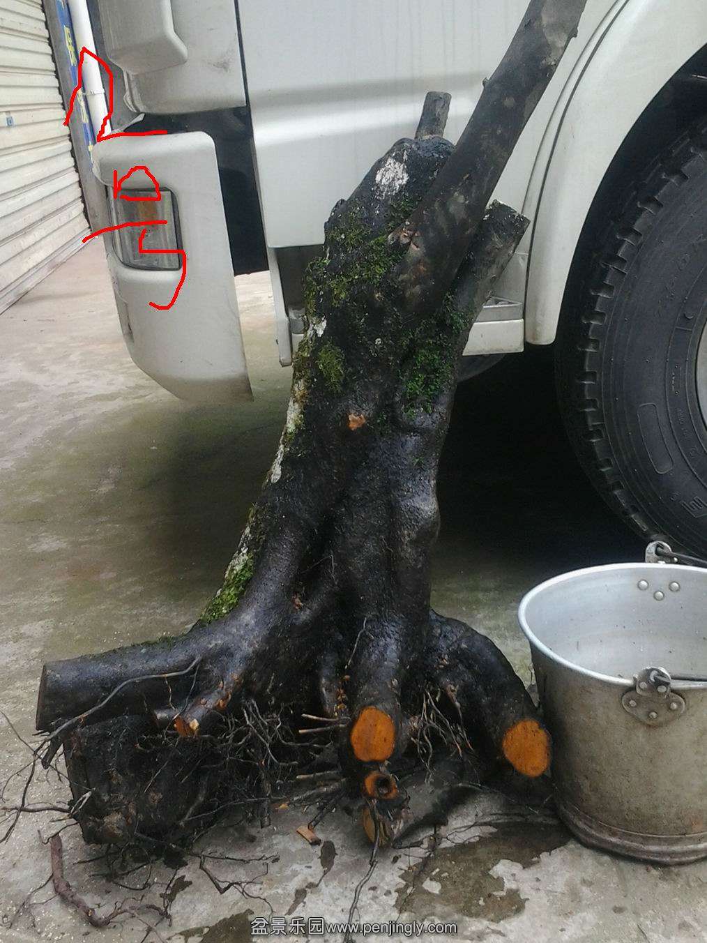 20140428_134736.jpg