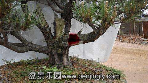 IMG_20140427_113503.jpg