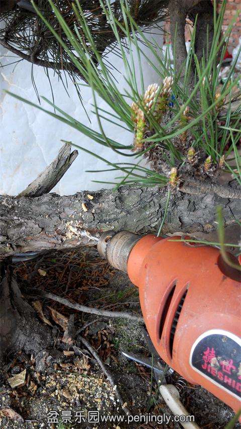 IMG_20140428_103824.jpg