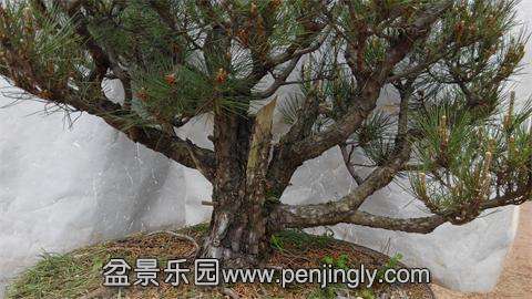 IMG_20140427_113256.jpg