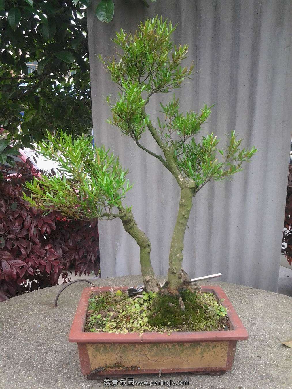 20140425_143131.jpg