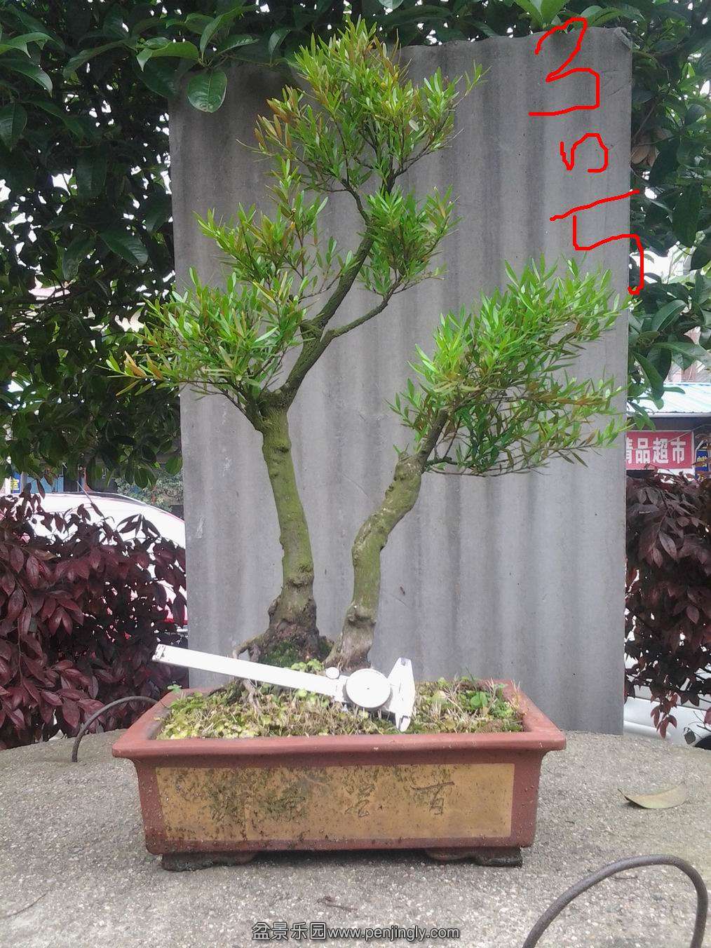 20140425_143116.jpg