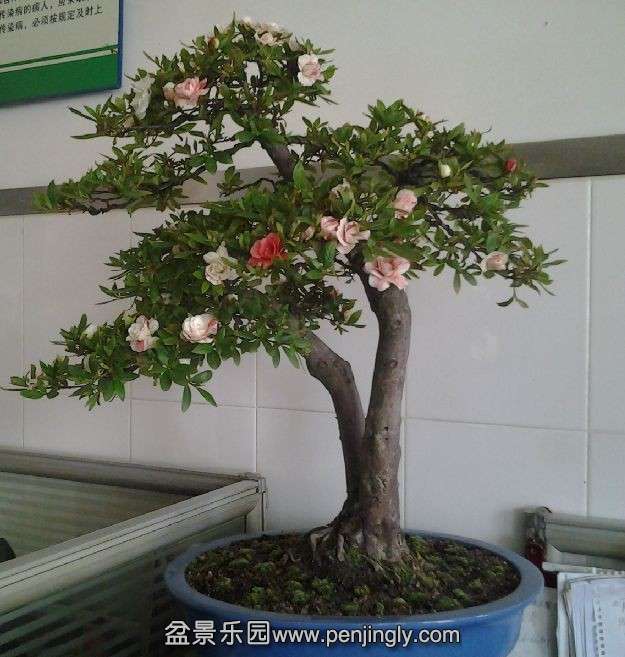 QQͼƬ20140429094325.jpg