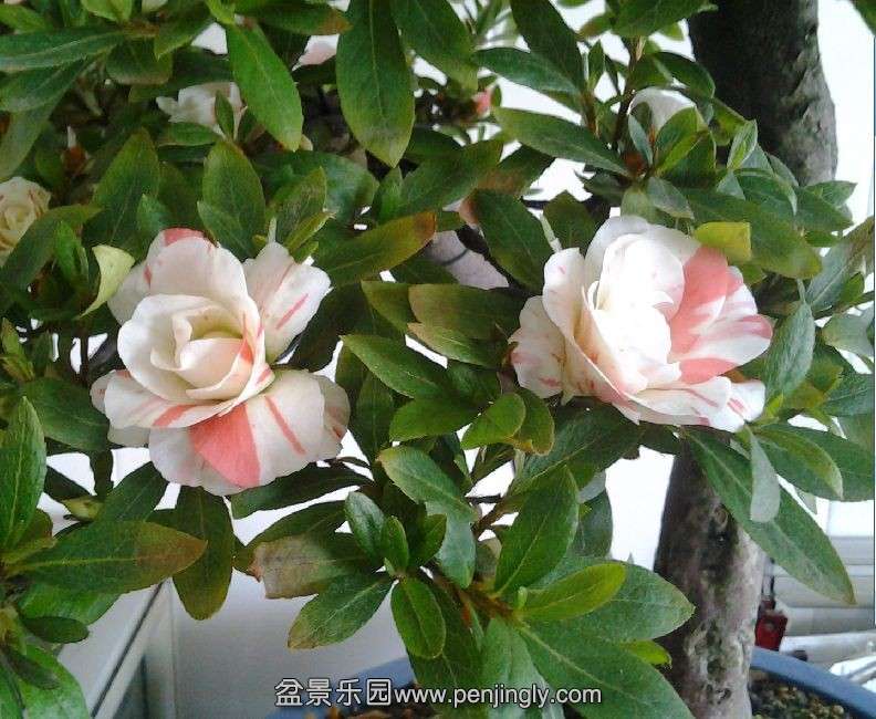 QQͼƬ20140429094401.jpg