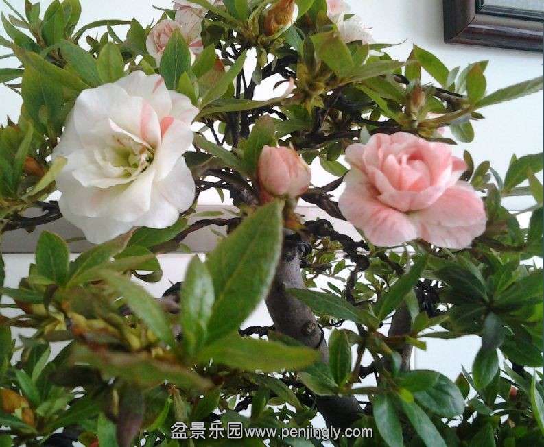 QQͼƬ20140429094407.jpg